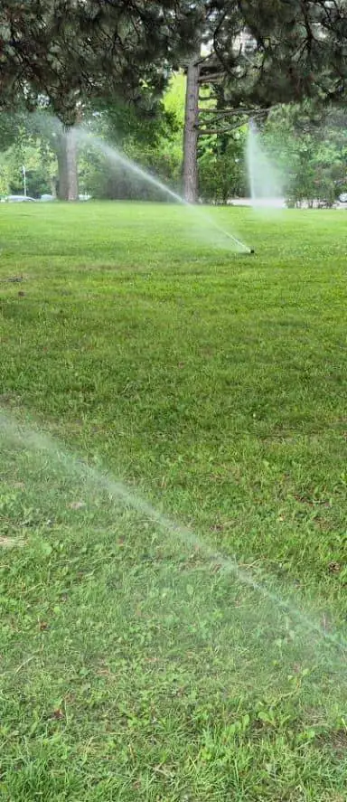 Sprinklers watering a green front lawn in Toronto