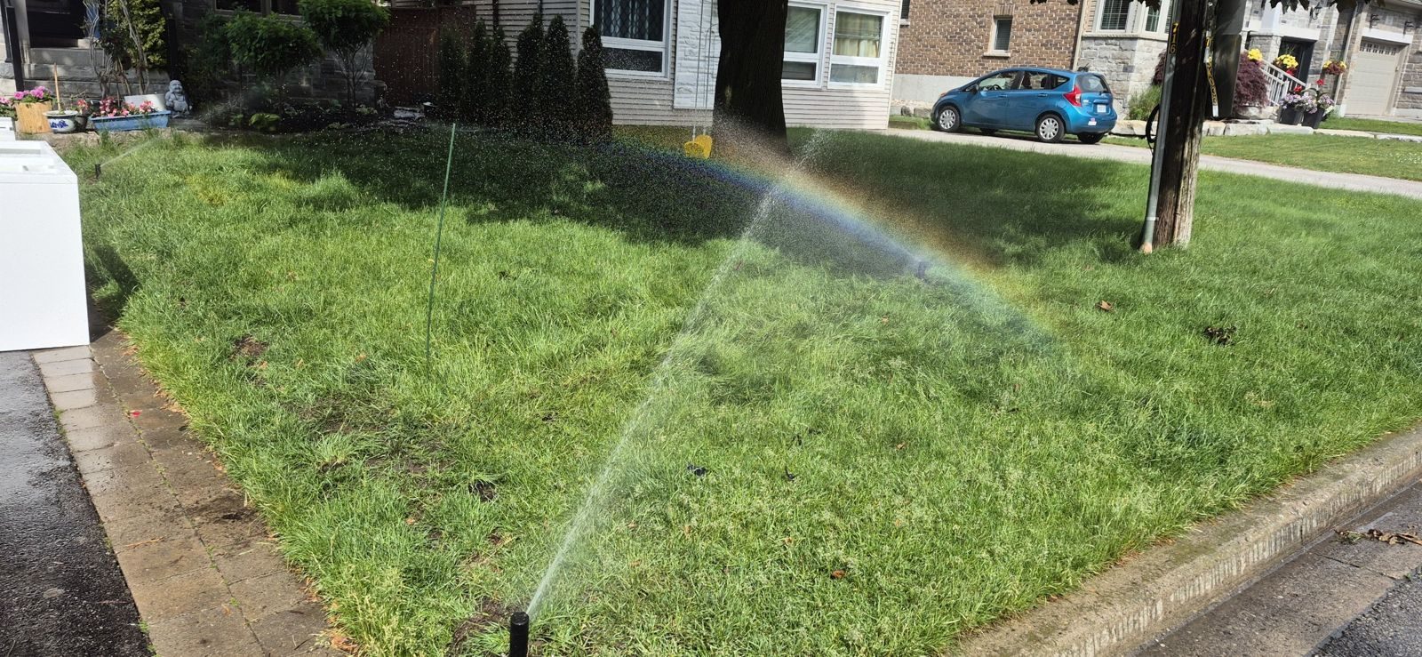 Pop-up sprinkler spraying across a front lawn with a rainbow visible in the mist