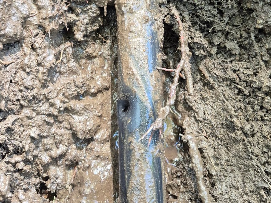 Buried irrigation poly pipe with a puncture causing a leak