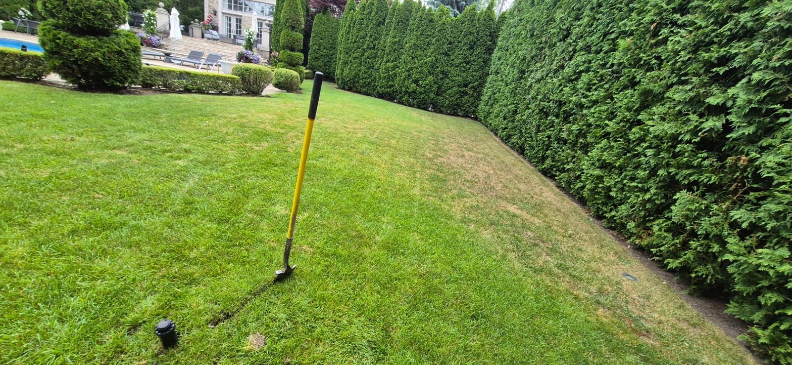 New sprinkler line being trenched into a lawn with a shovel and a sprinkler head visible